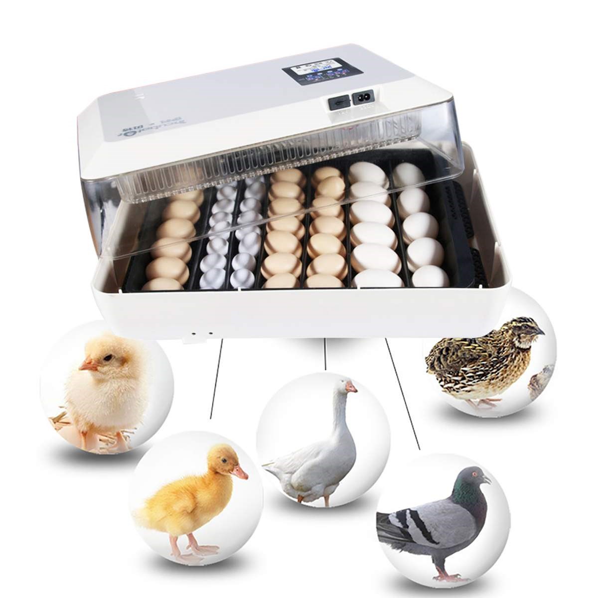 60eggs Farm Hatchery Incubator Automatic Chicken Egg Incubat