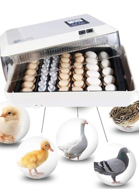60eggs Farm Hatchery Incubator Automatic Chicken Egg Incubat