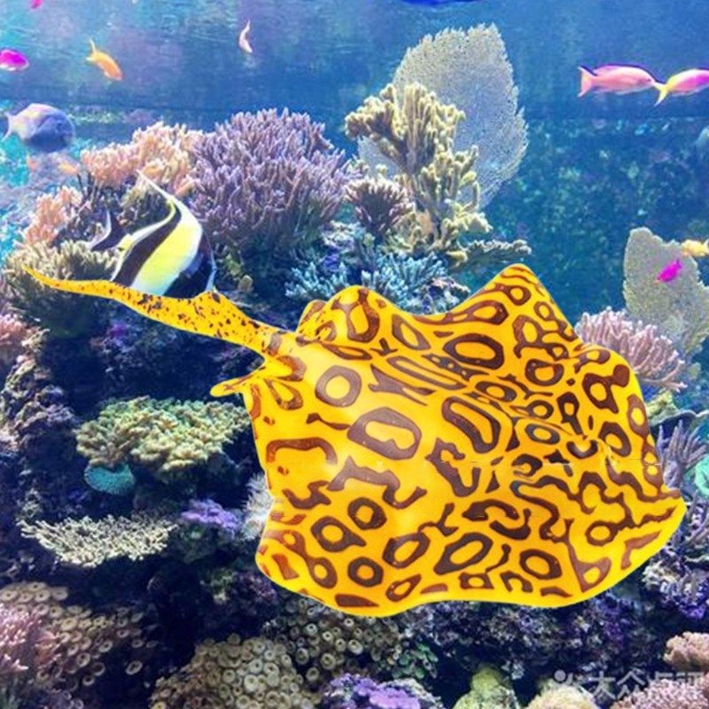 luminous glowing artificial devil goldfish jellyfish fish ta