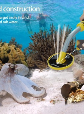 Pi-Iking 750 30m Targeting Pinpointer Induction Pulse PI nde