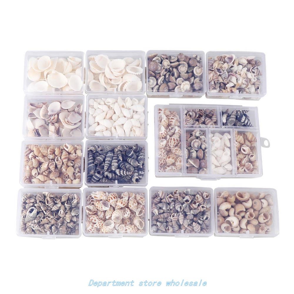 MiX Style Natural Shell 1-3CM 1 BOX Natural CONCh ShellS MiN