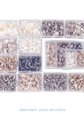 MiX Style Natural Shell 1-3CM 1 BOX Natural CONCh ShellS MiN
