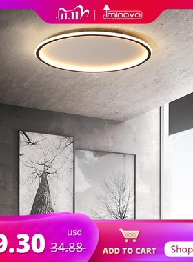 LED Ceiling Light Minimalist Indoor Home Decor Lamp Bedroom