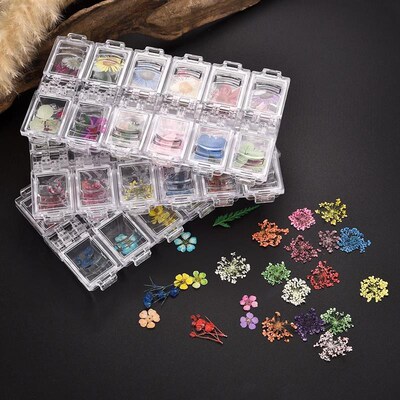 Pressed Dried Flower Dry Plants For Epoxy UV Resin Pendant N