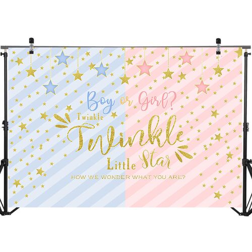 NeoBack Twinkle Star Backdrop Gender Reveal Party Boy or Gi