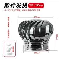 Type 300 Special (201 Band с фиксированной рамой)