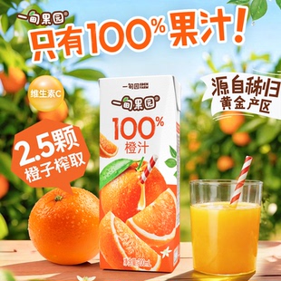 一甸果园100%橙汁0添加糖约2.5个橙子榨取好喝 果汁饮料200mL