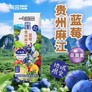 10种蔬菜补充花青素200mL 蔬食生活蓝莓味100%果蔬汁 麻江蓝莓