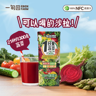 10盒 液体沙拉200mL 一甸园100%蔬菜汁 使用21种约300克蔬菜