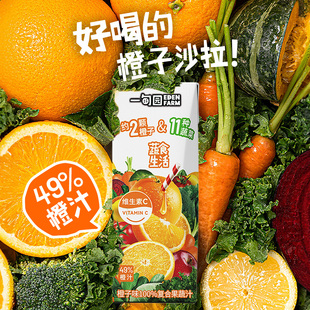 200mL 橙子补充维生素C 10盒 11种蔬菜 蔬食生活橙子味100%果蔬汁