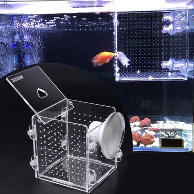 Acrylic Aquarium Fish Breeding Isolation Box Fish Tank Incub