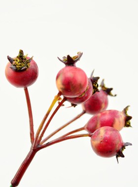 5pcs(6-7heads) MINI Fake cherry Fruit berries Artificial Flo