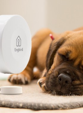 IBS-TH1 Wireless Digital Thermometer Hygrometer Sensor Data