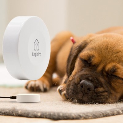 IBS-TH1 Wireless Digital Thermometer Hygrometer Sensor Data