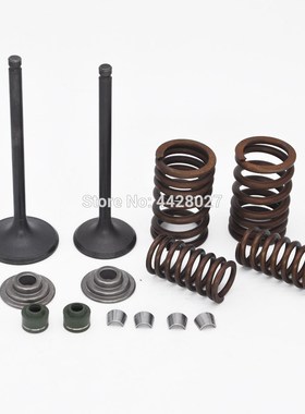Intake Exhaust Valves Rebuild Kit for Zongshen CG250 250cc