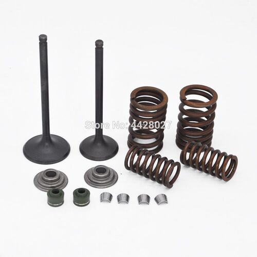 Intake Exhaust Valves Rebuild Kit for Zongshen CG250 250cc