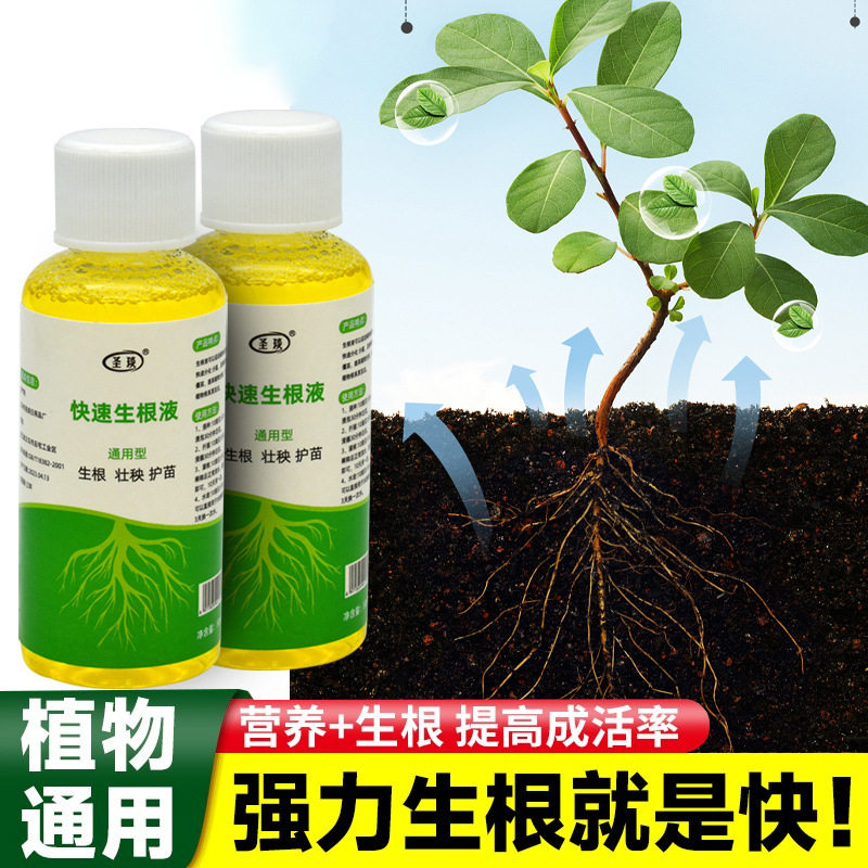 快速生根液快速生根液移栽花苗插芊移植多肉生根粉花卉植物