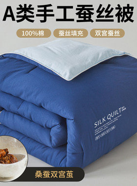 蚕丝被酒店民宿桑蚕丝春秋被子被芯加厚宿舍棉冬被子母被四季通用