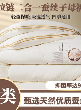 A类桐乡蚕丝被字母二合一拉链款四季棉被子加厚保暖蚕蛹蛋白被芯