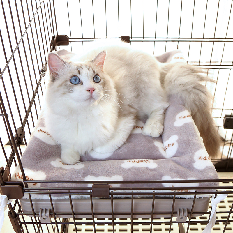 平台双面可用加绒加厚柔软垫子