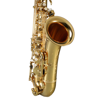 Rollins法国罗林斯洛兰c5调次