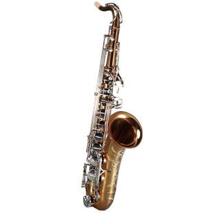 法国罗林斯9902s次中音萨克斯管乐器降b调次中音萨克斯演奏