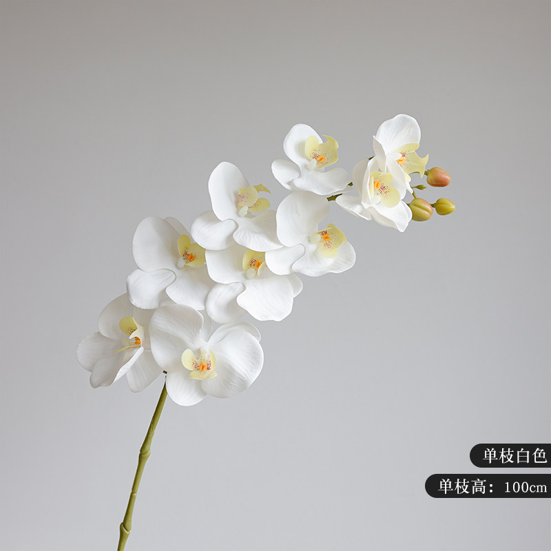 单支高端仿真蝴蝶兰 手感逼真假花客厅电视柜插花软装花艺摆件