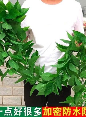 。。室内楼梯扶手仿真藤条植物树叶绿叶外景栏杆拉花花仿真装饰。