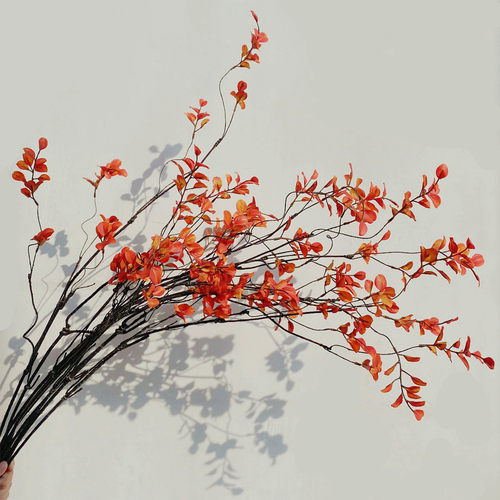 意境枯枝仿真秋叶枝红叶