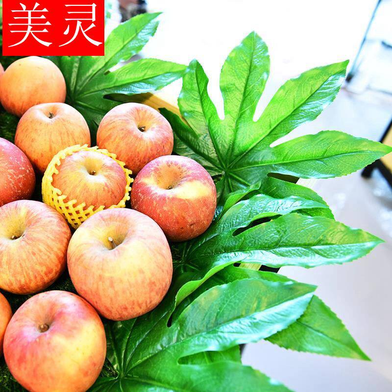 仿真八角金盘叶水果店装饰用品假塑料发财树叶胶片叶铺垫摆盘