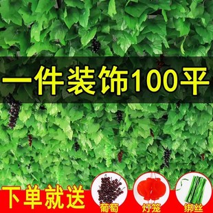 仿真装 饰遮挡绿植藤条藤蔓假树叶塑料花下水管道空调管子绿叶花藤