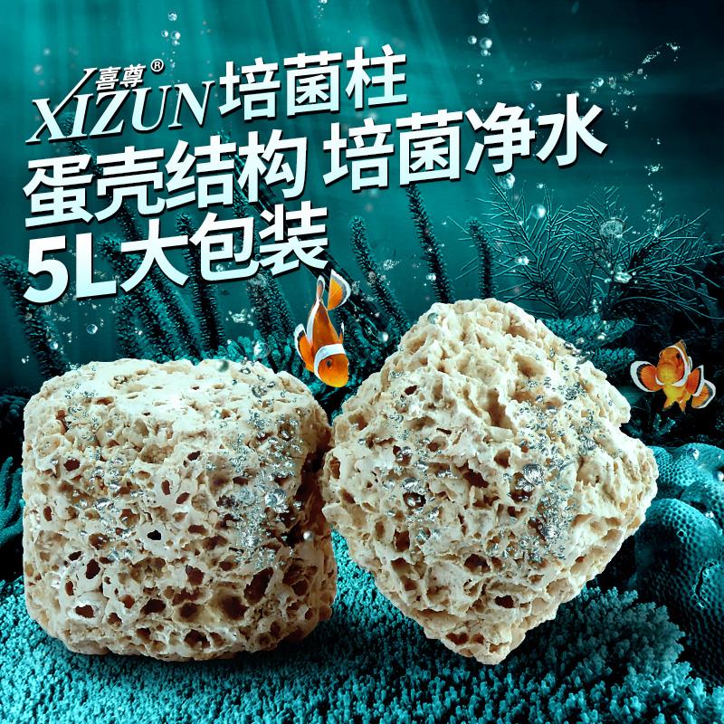 【喜尊官方】培菌柱硝化培菌益菌净水鱼缸过滤材料淡海水滴流盒用 宠物/宠物食品及用品 过滤材料 原图主图