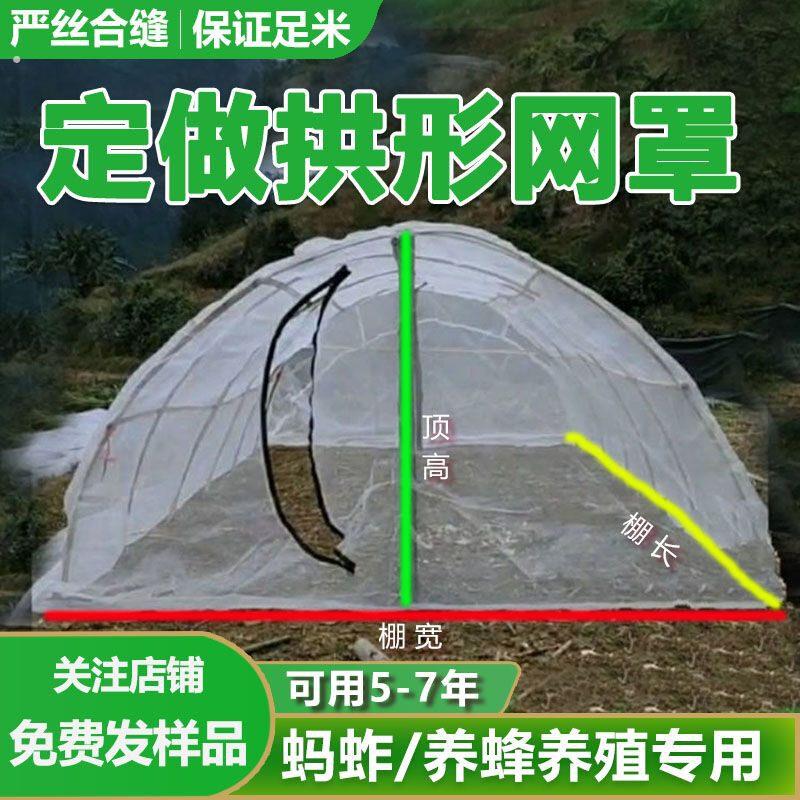 蚂蚱拱形网罩蝗虫带肩高拱形网罩胡蜂方形网罩拱形罩蚂蚱网罩纱网