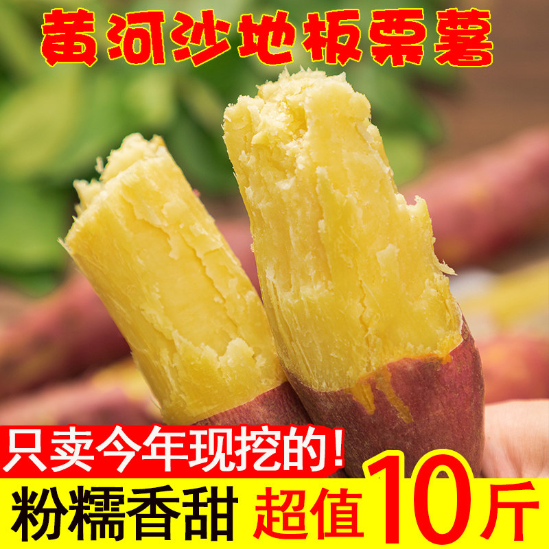 新鲜板栗红薯10斤陕西黄河沙地农家自种糖心白心番薯现挖地瓜山芋
