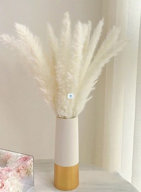 Bulrush Natural Dried Flowers Artificial Plants Branch