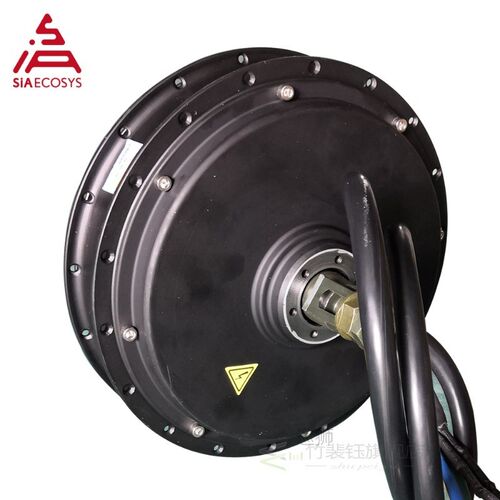 QS 205 50H V3I/V3 E-Bike Spoke Hub Motor 5T 650RPM@72V for e