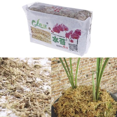 6L Phalaenopsis Sphagnum Moss Garden Supplies Moss Sphagnum