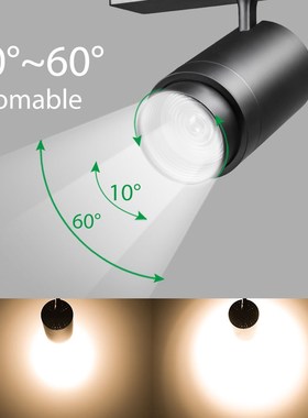 Zoomable 12W 20W 30W LED Track Light 2 3 4 Wire 3 Phase Dim