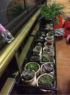 欧式铁艺栏杆花架护栏悬挂阳台防盗网挂式花盆架壁挂多肉植物花架