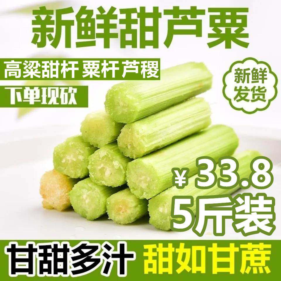 崇明甜芦粟,芦稷,南通_大山谷图库