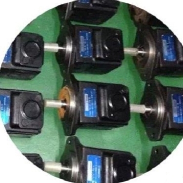【议价】DENISON丹尼逊叶片泵T6C-028-2R01-B1 T6EC-045-012-1R00