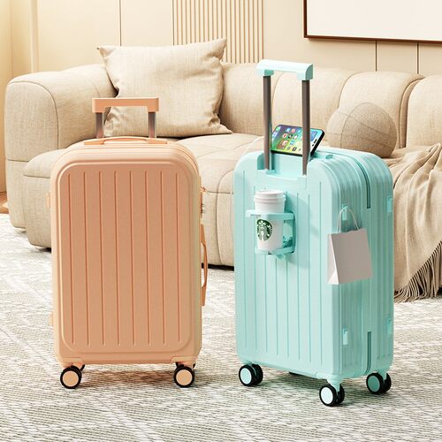BagsSuitceLTravelCy