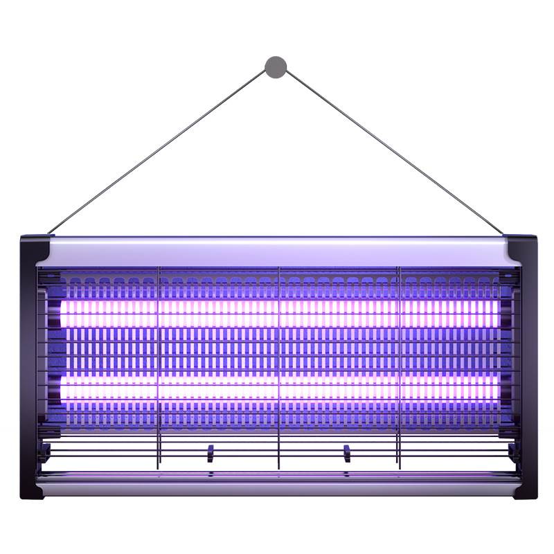 ElectricIndsK,BugZaF