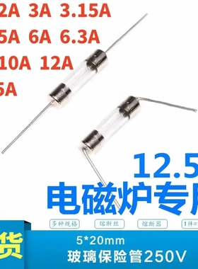 电磁炉家用配件保险管250V 10A 12.5A 15A 20A 带引线保险丝5*20m