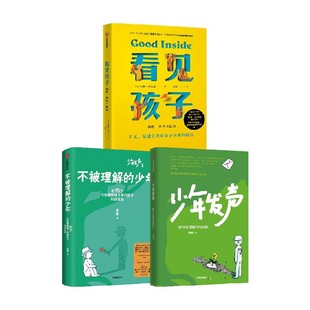 少年发声 陈瑜 套装 3册 少年 等著 看见孩子 家教方法 不被理解