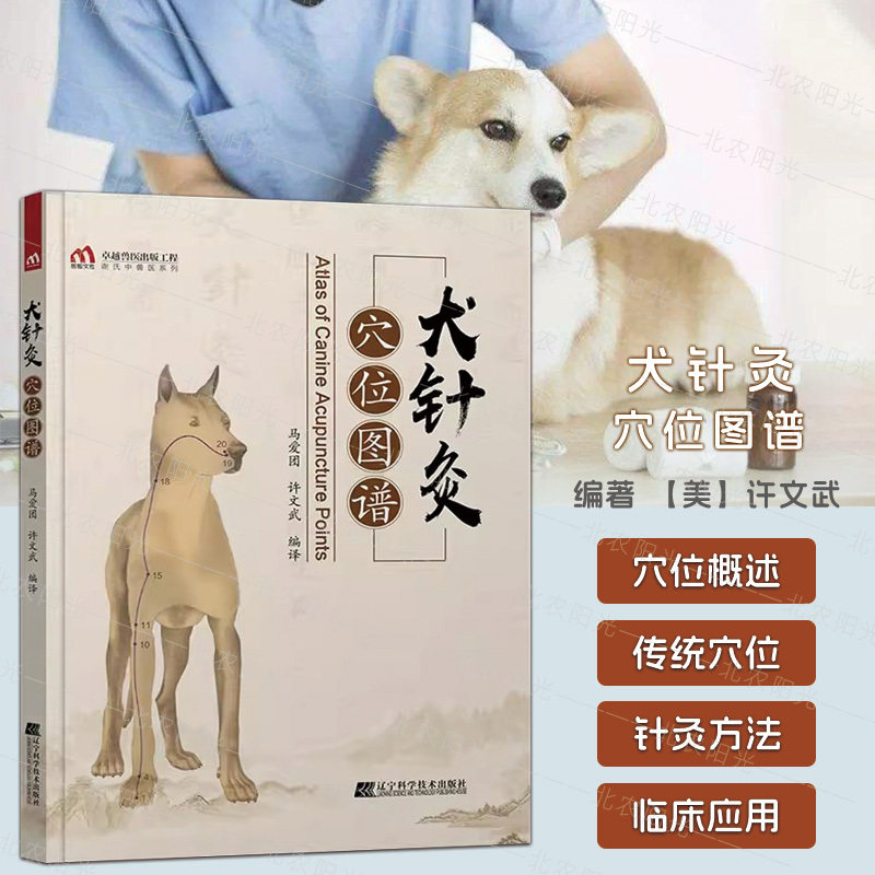 犬针灸穴位图谱 中兽医针灸诊疗技术 犬针灸治疗指南犬的经穴与针