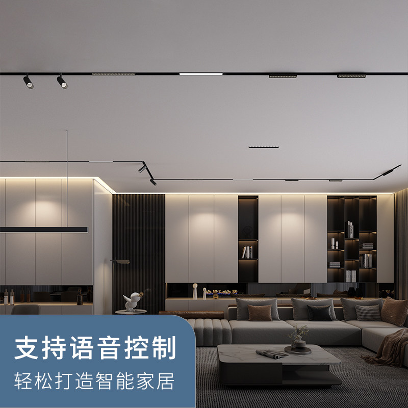 智能款调光调色磁吸轨道灯图片