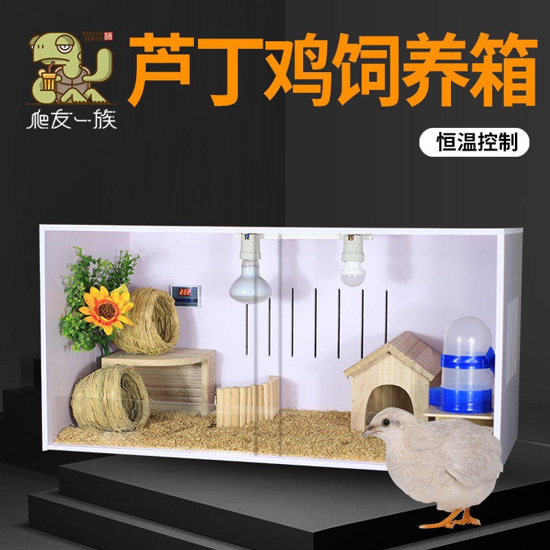 芦丁鸡饲养箱鸡笼鸡屋宠物育雏虎皮鹦鹉育雏的房子全套保温箱笼子