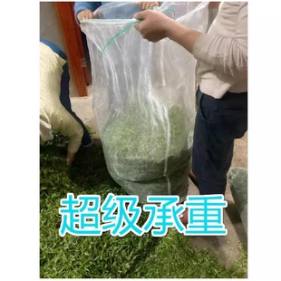 蛇袋裝 加厚尼龍網(wǎng)袋裝 茶青袋火腿臘肉魚蝦水產(chǎn)干貨網(wǎng)紗晾曬茶葉袋