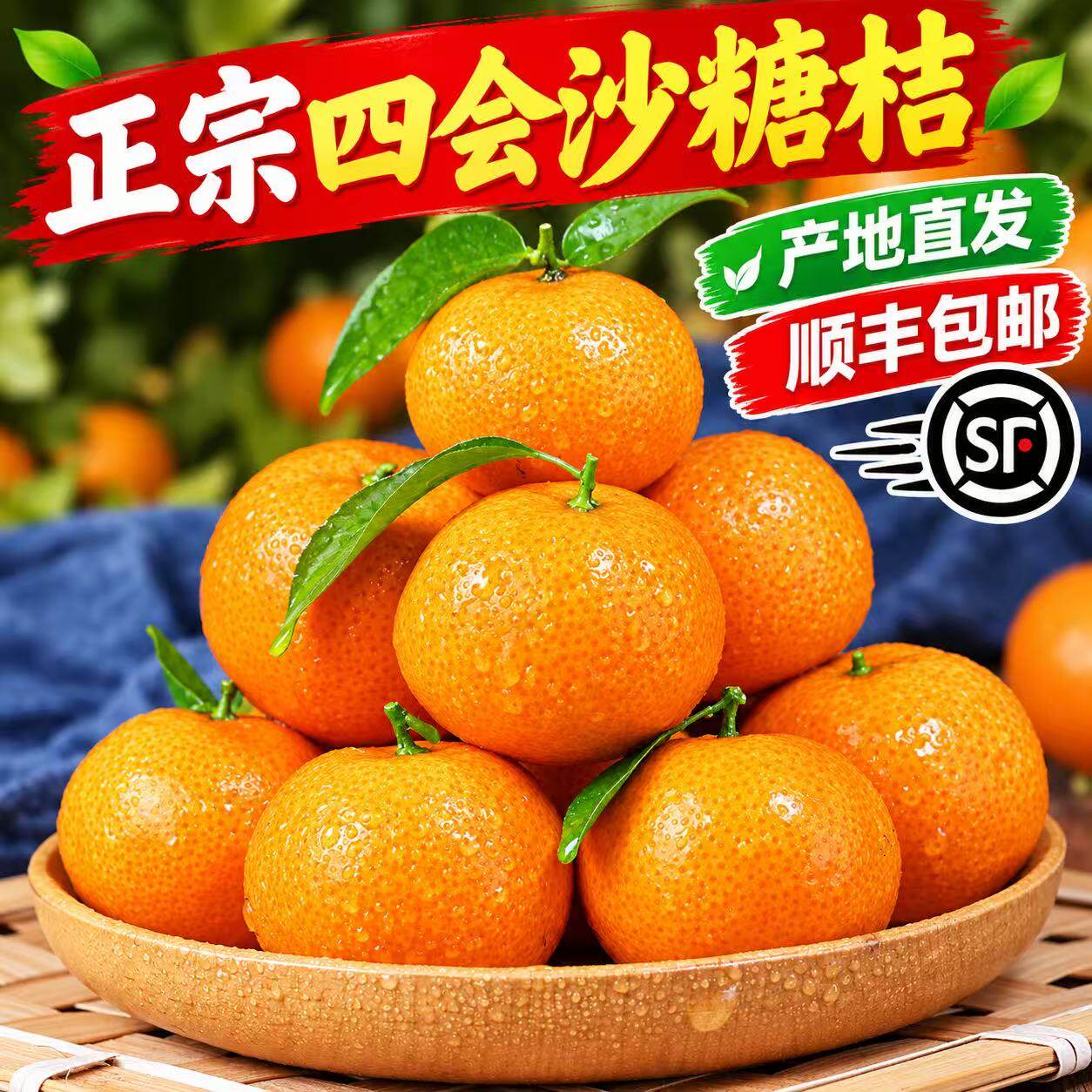 正宗广东四会砂糖桔新鲜孕妇水果蜜桔当季甜蜜砂糖桔子产地直发